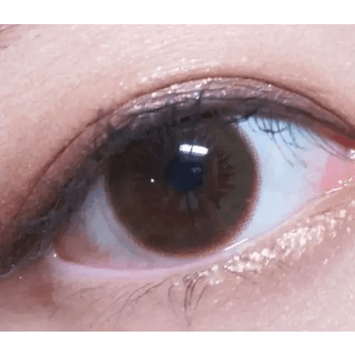 LensVery Rich Ann Latte Brown (6p) — single-eye close-up showing the contact lens appearance
