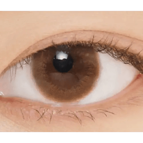 LensVery Rich Ann Latte Brown (6p) — single-eye close-up showing the contact lens appearance