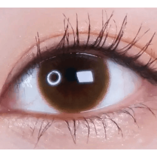 LensVery Rich Ann Latte Brown (6p) — single-eye close-up showing the contact lens appearance