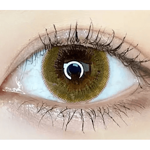 LensVery Rich Ann Latte Brown (6p) — single-eye close-up showing the contact lens appearance