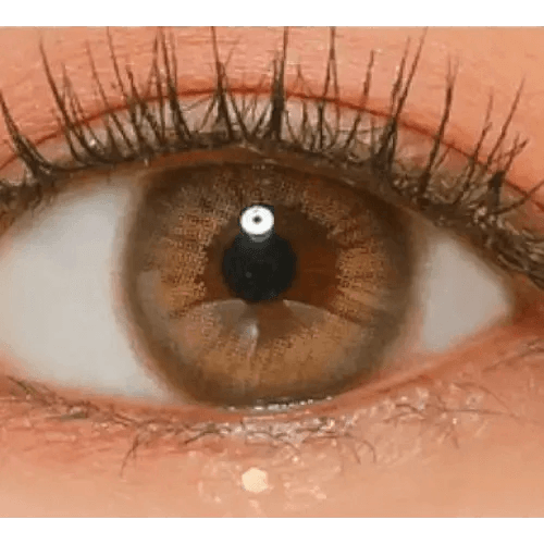 LensVery Rich Ann Mellow Brown (6p) — single-eye close-up showing the contact lens appearance