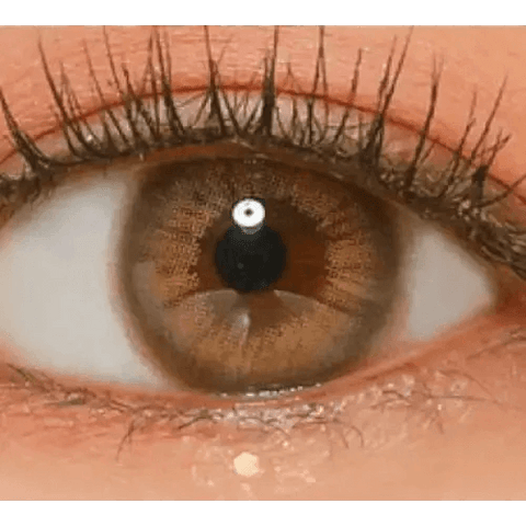Rich Ann Mellow Brown 13.4mm (6p) Rich Ann Mellow Brown 13.4mm (6p)