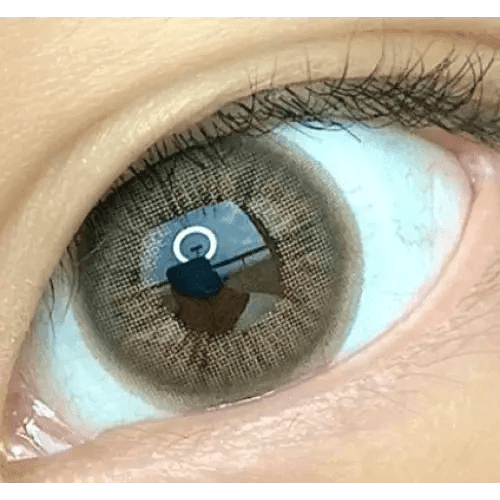 LensVery Rich Ann Mellow Brown (6p) — single-eye close-up showing the contact lens appearance