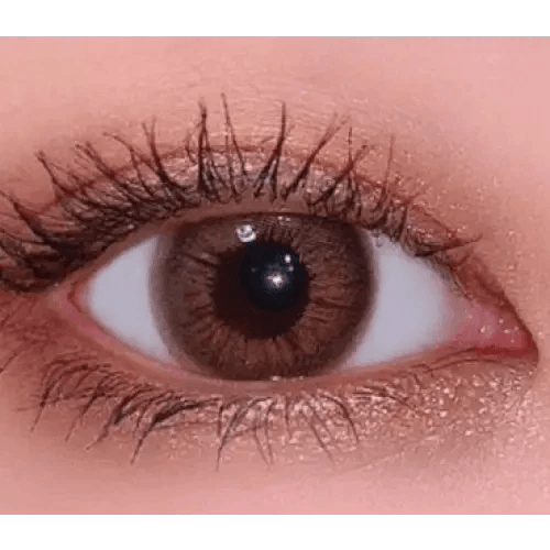 LensVery Rich Ann Mellow Brown (6p) — single-eye close-up showing the contact lens appearance
