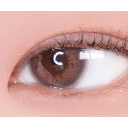 LensVery Rich Ann Mellow Brown (6p) — single-eye close-up showing the contact lens appearance