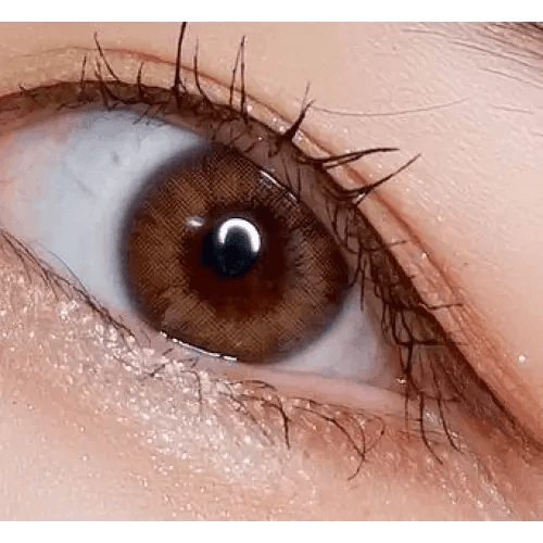 LensVery Rich Ann Natural Brown (6p) — single-eye close-up showing the contact lens appearance