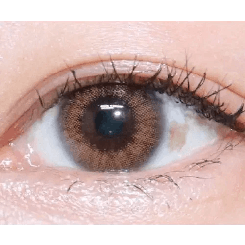 LensVery Rich Ann Natural Brown (6p) — single-eye close-up showing the contact lens appearance