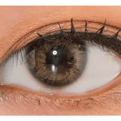 LensVery Rich Ann Natural Brown (6p) — single-eye close-up showing the contact lens appearance