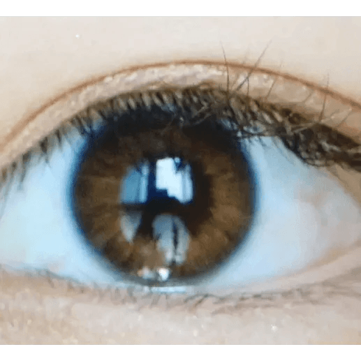 LensVery Rich Ann Natural Brown (6p) — single-eye close-up showing the contact lens appearance