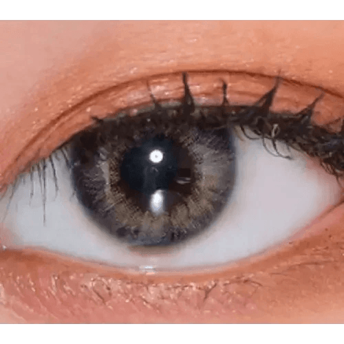 LensVery Rich Ann Natural Gray (6p) — single-eye close-up showing the contact lens appearance