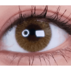 Rich Ann Shine Brown 13mm (6p)