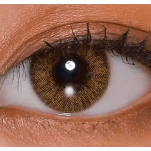 LensVery Rich Ann Shine Brown (6p) — single-eye close-up showing the contact lens appearance