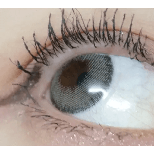 Olens Rich Gray — single-eye close-up showing the contact lens appearance