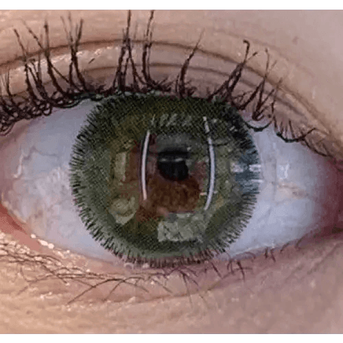 Olens Rich Green colored contact lens, 13.0mm graphic diameter, Monthly wear