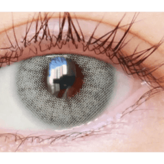 Romantea GangNam Gray 13.4mm