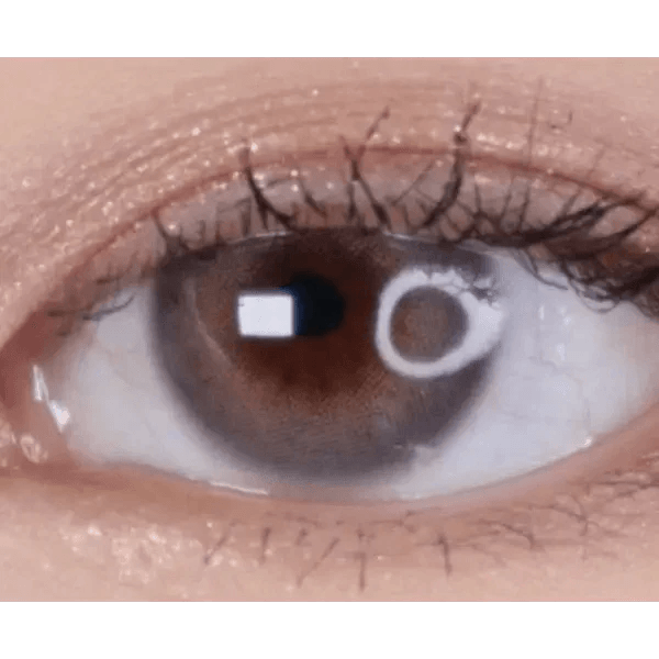 LensTown Romantea London 1Day Gray (10p) — single-eye close-up showing the contact lens appearance