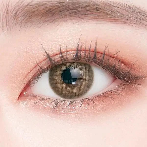 LensTown Romantea London 1Day Brown (10p) — single-eye close-up showing the contact lens appearance