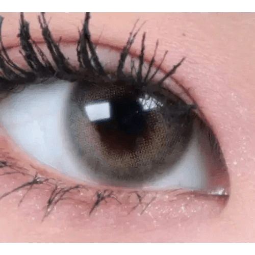 LensTown Romantea London 1Day Olive Green (10p) colored contact lens, 13.3mm graphic diameter, Daily wear