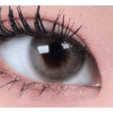 Romantea London 1Day Olive Green (10p)