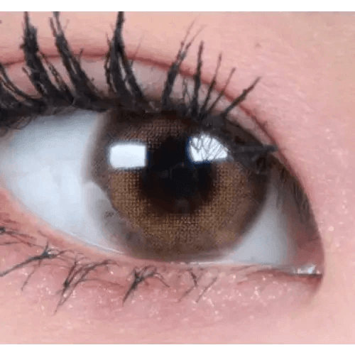 LensTown Romantea London Brown — single-eye close-up showing the contact lens appearance
