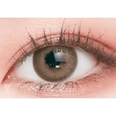Romantea London Brown Toric 13.3mm Romantea London Brown Toric 13.3mm