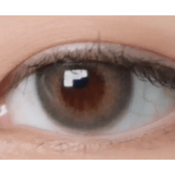 LensTown Romantea London Olive Green colored contact lens, 13.3mm graphic diameter, Monthly wear