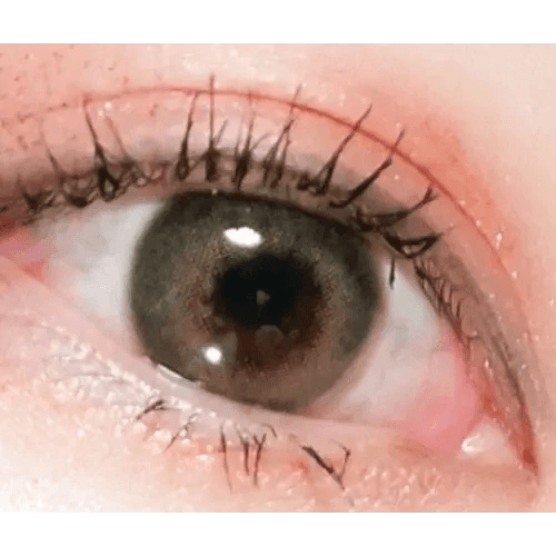 LensTown Romantea London Olive Green colored contact lens, 13.3mm graphic diameter, Monthly wear