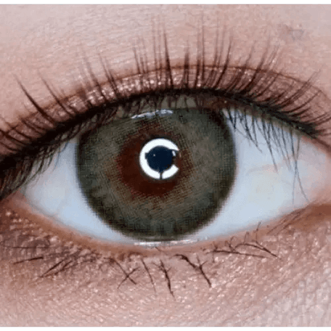 Romantea Paris Khaki Gray 13.3mm Romantea Paris Khaki Gray 13.3mm