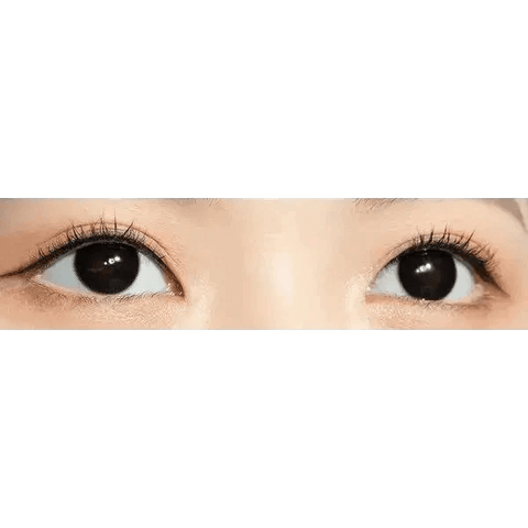 Romantea Ring 1Day Black (10p) Romantea Ring 1Day Black (10p)