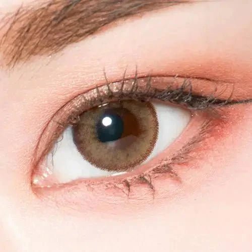LensTown Romantea Rome Brown — single-eye close-up showing the contact lens appearance