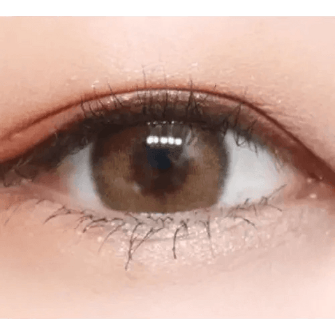 Romantea Rose Beige Brown Romantea Rose Beige Brown