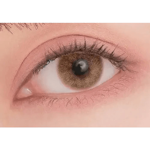 Romantea Venice Brown Toric 13.3mm