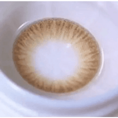 Romantico 3 Color Brown 13.5mm