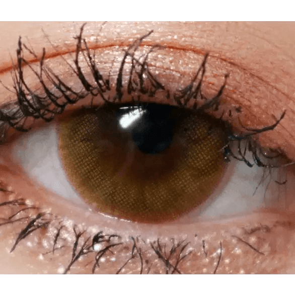 Olens Romantico 3 Color Brown — single-eye close-up showing the contact lens appearance