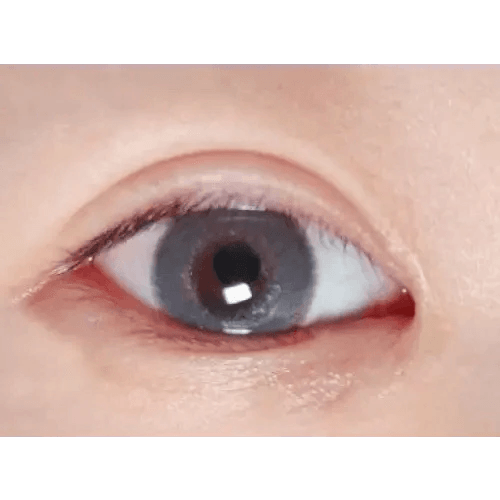 LensTown Rose Swan Gray Diamond — single-eye close-up showing the contact lens appearance