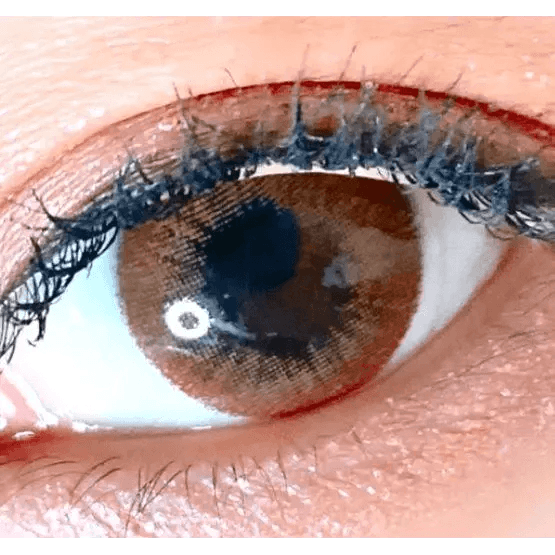 LensVery Rosee Classic Brown — single-eye close-up showing the contact lens appearance