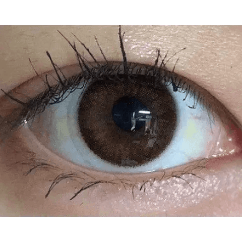 Rosee Romantic Brown 12.9mm Rosee Romantic Brown 12.9mm