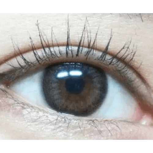 LensVery Rosee Romantic Gray — single-eye close-up showing the contact lens appearance
