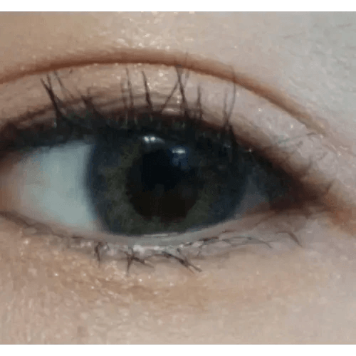 LensTown Rosy Basic Gray — single-eye close-up showing the contact lens appearance