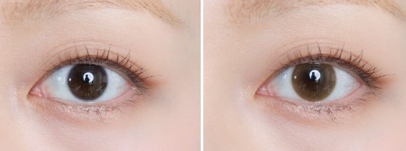 Olens Shine Touch Milky Brown colored contact lens, 12.7mm graphic diameter, Monthly wear