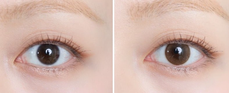 Olens Shine Touch Milky Choco colored contact lens, 12.7mm graphic diameter, Monthly wear