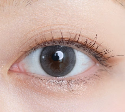 Shine Tourch Milky Gray Shine Tourch Milky Gray