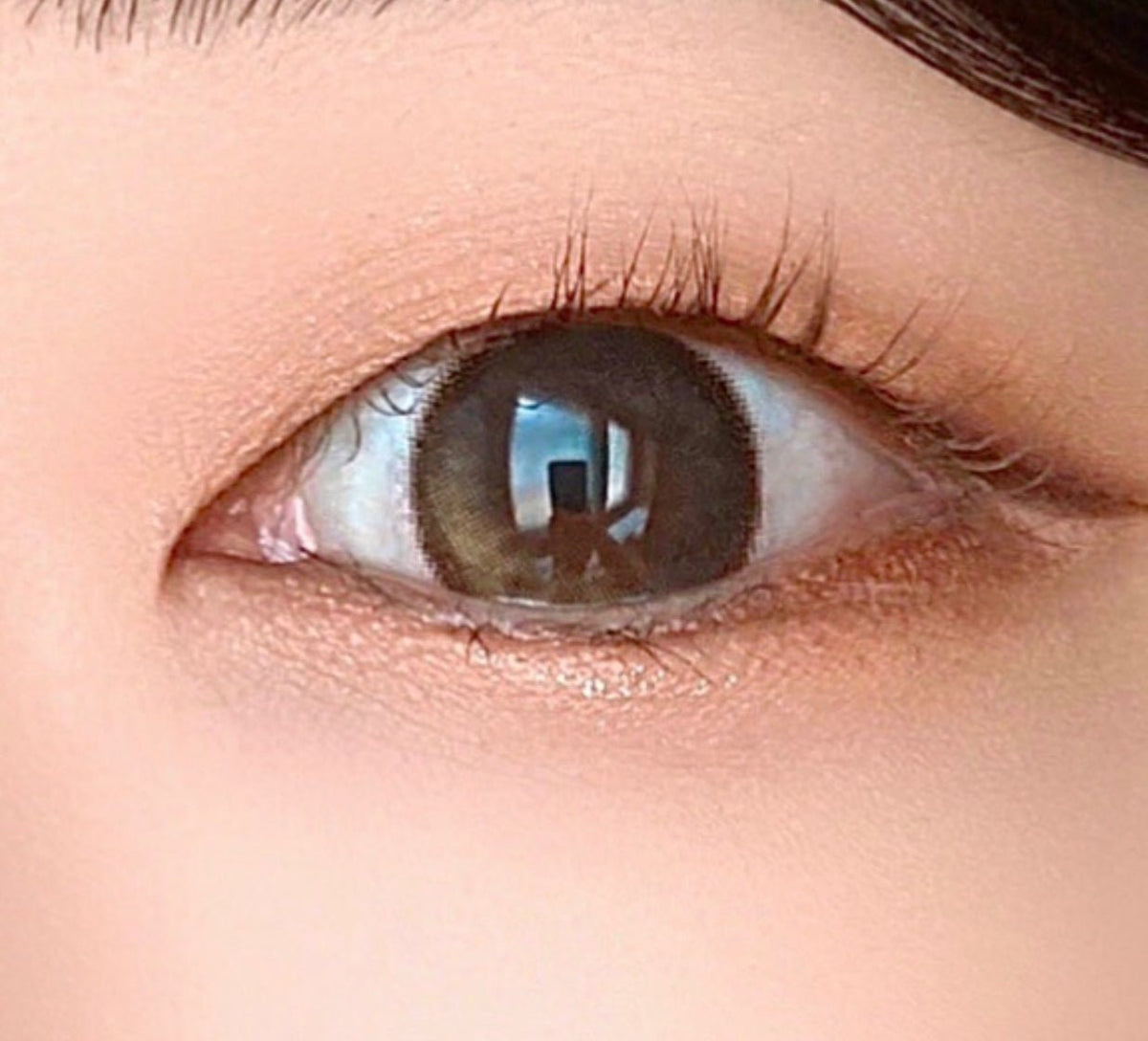 LensTown Tobetter Big 1Day Brown (10p) colored contact lens, 13.5mm graphic diameter, Daily wear