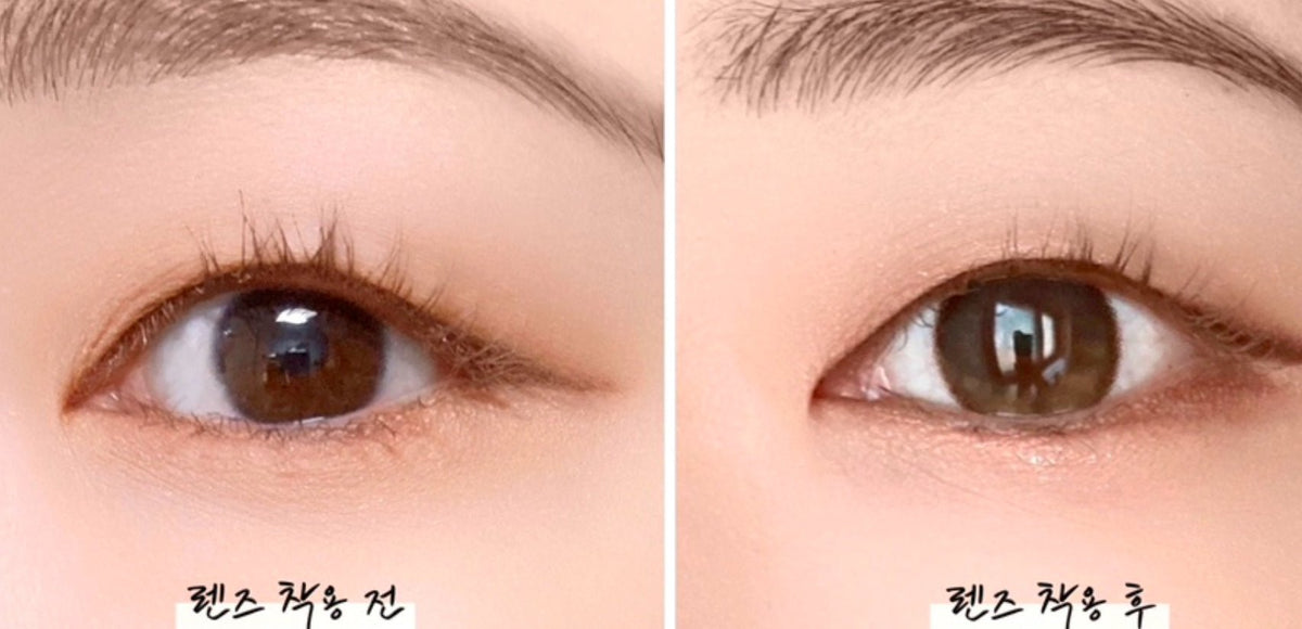 LensTown Tobetter Big 1Day Brown (10p) colored contact lens, 13.5mm graphic diameter, Daily wear