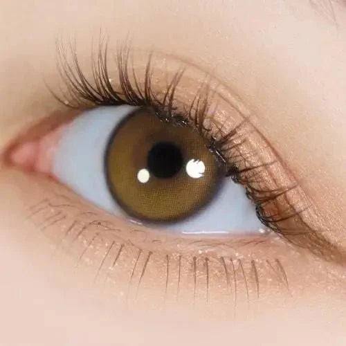 i-DOL Yurial Royal Brown monthly lens, the 8.6 mm base-curve example in this backup comparison