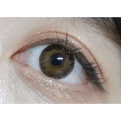 LensTown Not Bad Brown — single-eye close-up showing the contact lens appearance