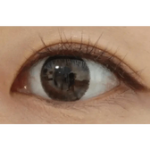LensTown Not Bad Brown — single-eye close-up showing the contact lens appearance
