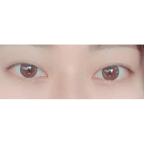 LensRang School Ring Gray — both eyes wearing the contact lenses