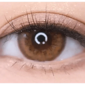 LensRang Spell Brown — single-eye close-up showing the contact lens appearance