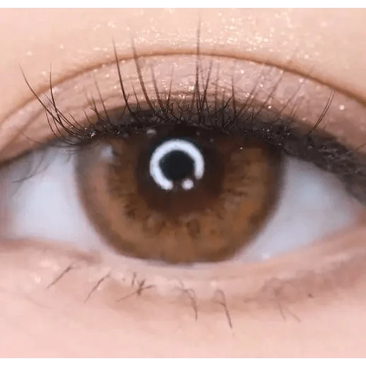 LensRang Spell Brown — single-eye close-up showing the contact lens appearance